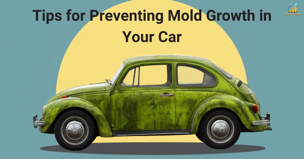 Tips for Preventing Mold Growth in Your Car