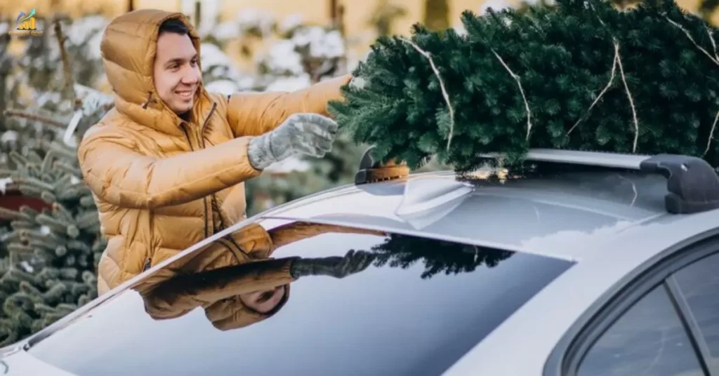 Does Car Insurance Cover Leaking Sunroof