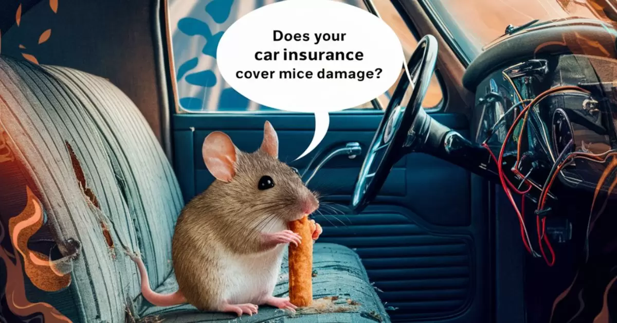 Does Your Car Insurance Cover Mice Damage Find Out Now!